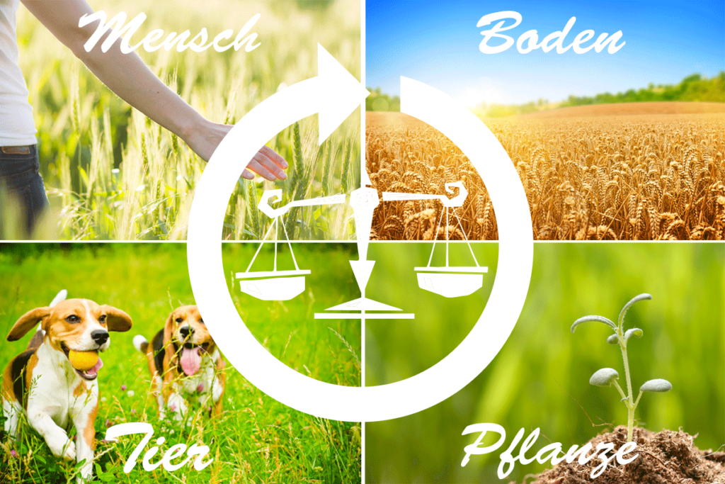 Reico Vital Systeme pokarm odpowiedni dla zwierząt